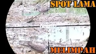 SPOT LAMA TERNYATA MELIMPAH // SEMAR NEO // JAGUAR MAGNUM