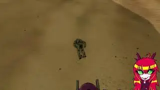 rare egirl footage