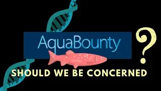 AquaBounty (AQB) - Should we be concerned about the public offering and future of AQB?