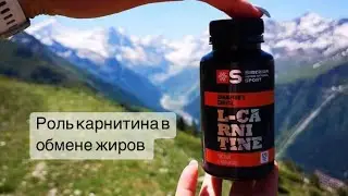 Карнитин и коррекция веса.