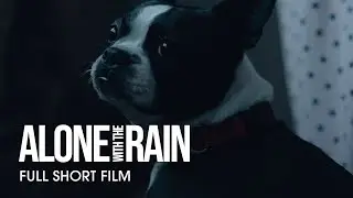 Alone With The Rain | Full Short Film [48 HR]