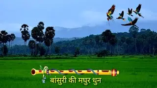 Himalayan Flute Music | Morning Flute Music | Meditation | Flute Music Relaxing | Positive Energy