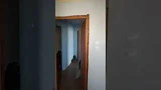 Только рыбу решил высушить и сразу мухи налетели