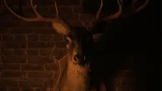 The Fan had some problems...