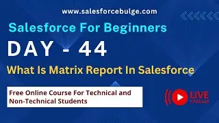 What Is Matrix Report In Salesforce | salesforce bulge | reports in salesforce