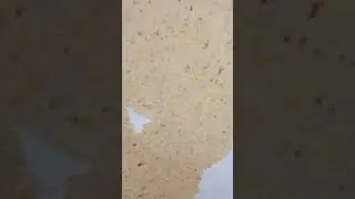жидкие обои Караганда