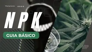 NPK: A Nutrição Básica da Cannabis