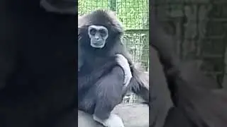 Я Устал