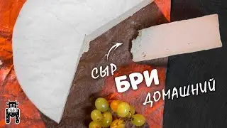 Brie Cheese RECIPE - Made at Maggio Cheese Factory | Homemade Brie Cheese Recipe