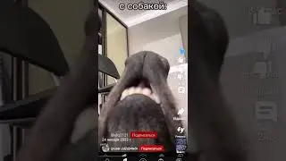 ешкин кот блин блинский 😂😂😂😂😂😂😂😂