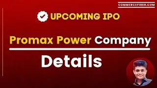 Promax Power Limited Company Details in Hindi
