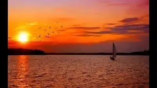 💜 Christopher Cross  💜  Sailing  💜  Live Performance  💜