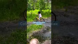 Чудовище охраняет цветы Почему нельзя просто сходить в лес собрать шиповник Страшные истории #funny