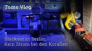 Blackout in Berlin - power outage at the coral reefs, 5 days without heating & light