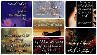amazing quotes in urdu best collection of hazrat islam creations