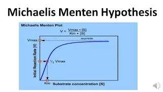 Michaelis Menten Hypothesis