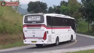 Bus Budiman vs Bus Primajasa Adu Keren Meliuk Di Sirkuit Balap Jalur Selatan