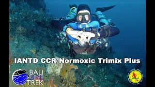 IANTD Rebreather Normoxic Trimix Plus With Gabor Orszaczky