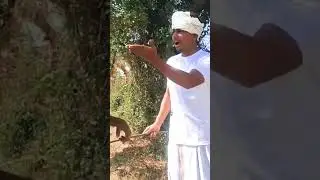 ચરોતર ની મોજ