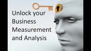 Small Business Analysis and Measurement The Baldrge Way - Three Experts Examine