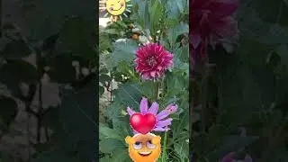 Хороших выходных! Чудесного настроения!