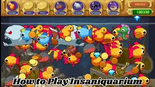 Tutorial Cara Bermain Game Insaniquarium di PC