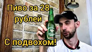 Лосиный берег - обзор пива из магазина FixPrice за 28 рублей