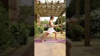 Warrior 1 Alignment and Modifications