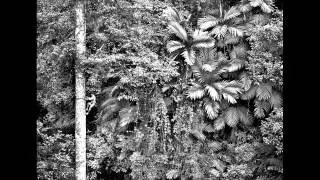 Sebastião Salgado - The silent drama of photography