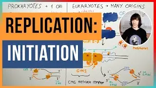 Initiation of DNA Replication