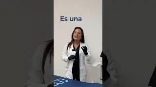 Sleb