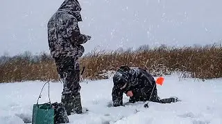 This is why you can’t leave your fishing rods unattended!
