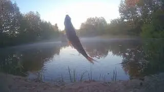 рыбалка на Усманке в Рыкани