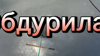 Привередливый хариус