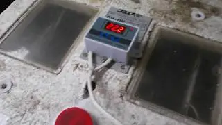 Терморегулятор XH-W3001 в пенопластовый инкубатор 