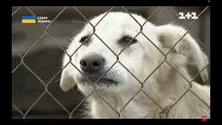 Телемарафон 