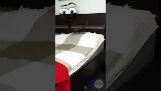 Bed Doods are Pranksters 😅🤣