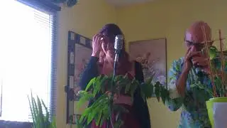 Le Daron et Noellie chantent J'Irai Ou Tu Iras. Célin DION et J J  GOLDMAN