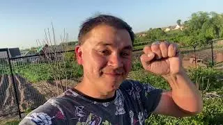 Әбри Хәбриев - Үз кулларым белән ясалган койма