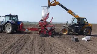 Посів кукурудзи