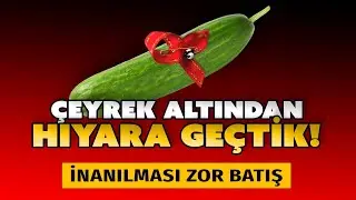 Türkiye'nin çeyrek altın gerçeği