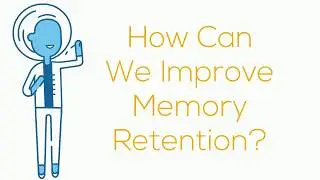 How Does The Brain Recall Memories?