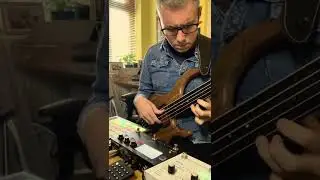 Solo fretless bass looping with Microcosm pedal - 'A Little Stillness' - by Mike Forrest Flynn