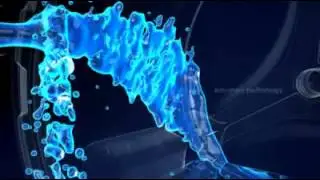 Anti Stain Treatment