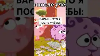 ПОСЛЕ УЧЁБЫ: 