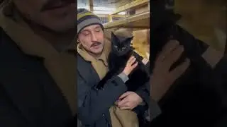 Дима Билан и кот Шахтер, которого певец заберет в Москву из Донецка  