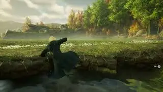 Hogwarts legacy would be good if we could use broom here