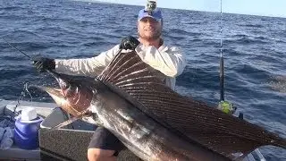 Billfish Basics, Ningaloo series Episode 1
