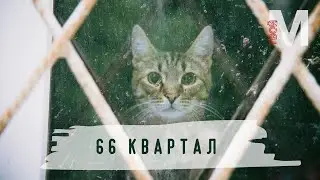 Курмыши. Тревел-блог по 66 кварталу  | «Твой Металлург»