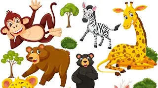 Animals Sound Effects, Animals Sound Name In Animal Sound, Cow Dung,Elephant,Lion..